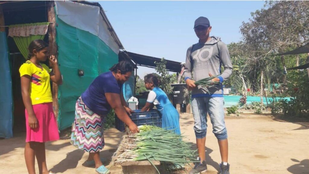 Mujeres venezolanas: en doble desventaja para trabajar