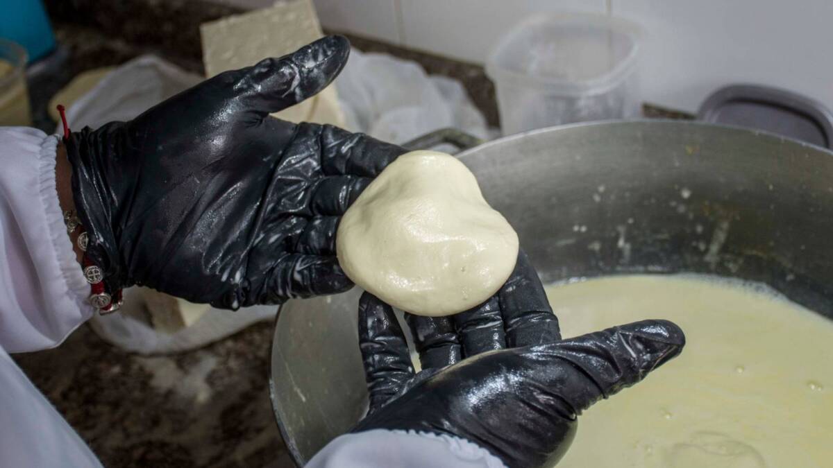 El queso artesanal venezolano ‘derrite’ paladares en Colombia